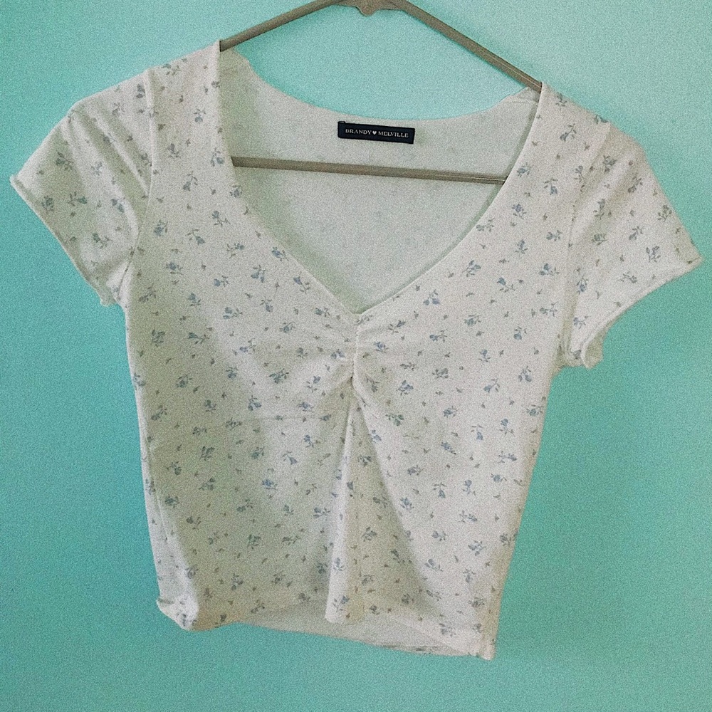 Brandy Melville cropped top